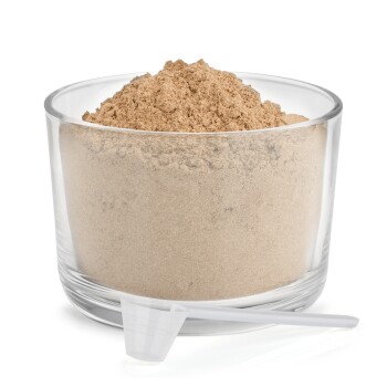 Ein braun-weißer Hund sitzt auf einem moosbedeckten Baumstumpf im Wald, neben einem Behälter mit Reavet Ballasto Vet für die Verdauung.