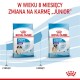 Obraz dwóch torebek karmy dla psów Royal Canin oznaczonych "PUPPY" dla psów w wieku 2-8 miesięcy i "JUNIOR" dla psów w wieku 8-18 miesięcy, z notatką o zmianie karmy po 8 miesiącach.