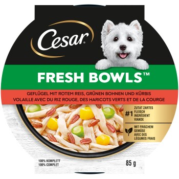 Nourriture pour chien Cesar Fresh Bowls avec volaille, riz rouge, haricots verts, citrouille et légumes frais, bol de 85 g avec un chien blanc heureux.