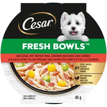 Nourriture pour chien Cesar Fresh Bowls avec volaille, riz rouge, haricots verts, citrouille et légumes frais, bol de 85 g avec un chien blanc heureux.