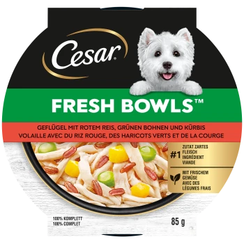 Cesar Fresh Bowls Hundefutter mit Geflügel, rotem Reis, grünen Bohnen, Kürbis und frischem Gemüse, 85g Schale mit fröhlichem weißem Hund.