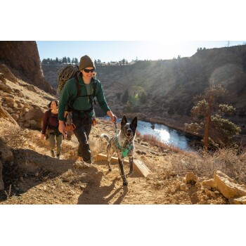 Eine Person, die einen felsigen Pfad mit einem Hund an der Leine hinaufwandert, umgeben von einer malerischen Landschaft mit einem Fluss und Hügeln.
