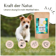 Verpackung eines natürlichen Haustier-Nahrungsergänzungsmittels mit der Aufschrift "IMMUN KRÄUTER" und Symbolen für 100% natürliche Zutaten, keine Zusatzstoffe und Unterstützung des Immunsystems.