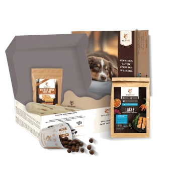 Schachtel Wildfang Hundefutter und Leckerlis inklusive Lachsmahlzeit, hartem Kausnack, Knochen und Kibbelschale mit Hundebild auf der Verpackung.