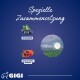 Blauer Hintergrund mit "Spezielle Zusammensetzung," Illustrationen von Heidelbeeren und Granatäpfeln, 0,9 cm Grafik und "GIGI" Logo.