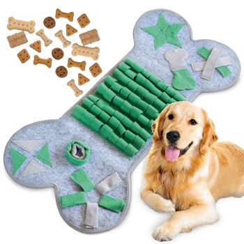 Ein Golden Retriever liegt neben einer grünen und grauen interaktiven Hundepuzzle-Matte in Form eines Knochens, die verschiedene Texturen und Formen aufweist.