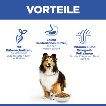 Vorteile von Hundefutter mit Rübenschnitzeln, leicht verdaulich, und Vitamin E mit Omega-6 für Haut- und Fellpflege, mit einem Sheltie und einer Schüssel.