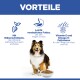 Vorteile von Hundefutter mit Rübenschnitzeln, leicht verdaulich, und Vitamin E mit Omega-6 für Haut- und Fellpflege, mit einem Sheltie und einer Schüssel.