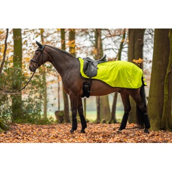 Ein braunes Pferd mit einer leuchtend gelben Satteldecke steht auf gefallenen Blättern in einem Wald, mit Sattel und Zaumzeug.