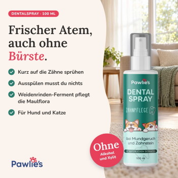 Zahnspray für Haustiere von Pawlie's, fördert die Zahnpflege in Sekunden, beseitigt schlechten Atem, bekämpft Zahnstein und unterstützt gesundes Zahnfleisch.