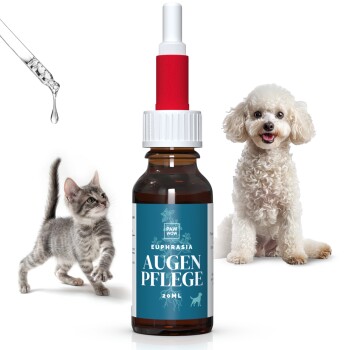 Eine Flasche Augenpflege-Lösung mit der Aufschrift "EUPHRASIA AUGEN PFLEGE 20ML" wird zusammen mit einem verspielten grauen Tabby-Kätzchen und einem flauschigen weißen Hund gezeigt.