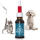 Eine Flasche Augenpflege-Lösung mit der Aufschrift "EUPHRASIA AUGEN PFLEGE 20ML" wird zusammen mit einem verspielten grauen Tabby-Kätzchen und einem flauschigen weißen Hund gezeigt.