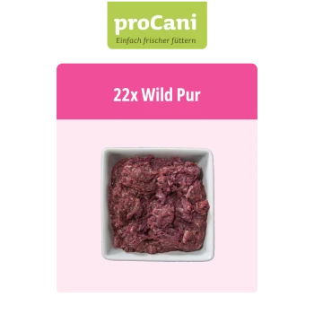 Packung mit proCani reinem Wildfleisch-Hundefutter, mit einem malerischen Etikett und dem Text "Wildfleisch pur" mit einer Mengenangabe "22x".