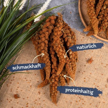 Nahaufnahme von strukturierten braunen Haustierleckerlis auf Jute, beschriftet mit "schmackhaft", "natürlich" und "proteinhaltig."