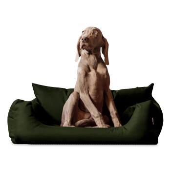 NEMO Hundebett Hundesofa S M L Hundekorb Katzenbett 65 80 100cm dunkles olivgrün 80 cm, 22 cm, 60 cm