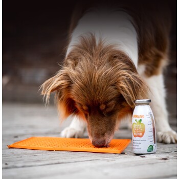 Ein brauner Hund leckt eine orange Matte neben einer Flasche mit der Aufschrift "Gemüse Beet Veggie Snack für jeden Hund", einem natürlichen Hundesnack.