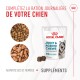 Royal Canin Joint & Ageing Chews pour chiens, avec un husky sur l'emballage, avec un texte promouvant l'achèvement du régime quotidien.