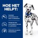 Een Dalmatiër staat tegen een blauwe achtergrond met tekst over voordelen: vermindert uraat- en cystinestenen, verlaagt het risico op terugkeer en versterkt de immuniteit.