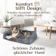 Modernes Hundebett in einem stilvollen Wohnzimmer mit einem entspannten Hund. Text: 'Komfort trifft Design - stilvolles Hundebett für jedes Zuhause.'