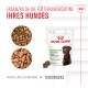 Royal Canin Digestion Chews für Hunde, mit einer Tüte mit 40 Stück, umgeben von Trockenfutter und Kaustreifen, mit Text, der Nahrungsergänzungsmittel bewirbt.