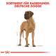 Illustration einer Deutschen Dogge mit Maßlinien, betitelt "Sortiment für Rassehunde: Deutsche Dogge" in fettem roten Text.