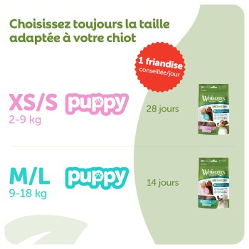 Guide de dosage des friandises dentaires Whimzees pour chiots selon la taille : XS/S 2-9 kg pendant 28 jours, M/L 9-18 kg pendant 14 jours, 1 friandise par jour.