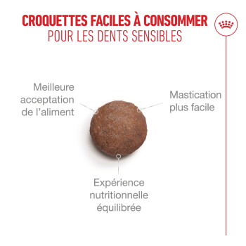 Croquette ronde brune centrée avec le texte français : « Croquettes faciles à consommer pour les dents sensibles » et trois étiquettes.