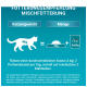 Fütterungsempfehlung für Katzen: Eine 4kg Katze benötigt täglich 2 Portionsbeutel, plus 20g Trockenfutter, auf mindestens 2 Mahlzeiten verteilt.