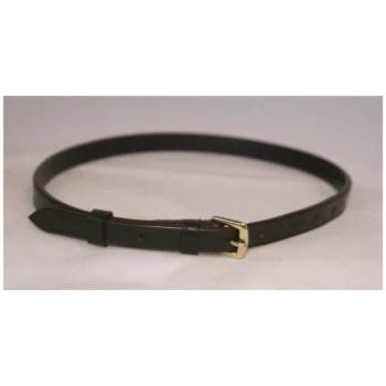 Braunes Leder-Haustierhalsband mit einer goldenen Schnalle, das mehrere Einstelllöcher für die Größe hat.