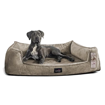 Schwarzer Hund (Gesicht unkenntlich) liegt auf beigem, veloursartigem Bolster-Hundebett mit vorderem „tierlando“-Label und hängendem Produktanhänger
