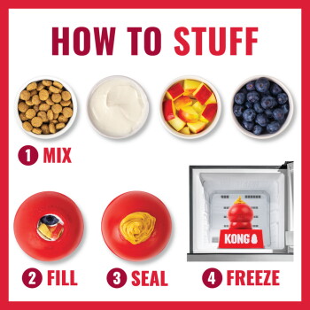 HOW TO STUFF: bowls of kibble, yogurt, apple, blueberries and a red KONG toy with steps MIX, FILL, SEAL, FREEZE