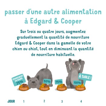 Instructions pour passer à la nourriture pour animaux de compagnie Edgard & Cooper sur quatre jours, avec des chiens de dessin animé et des bols avec des indicateurs de pourcentage.