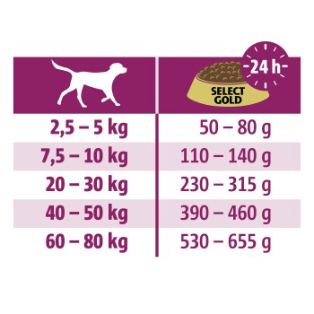 Hundefütterungsleitfaden, der Gewichtsspannen (2,5-80 kg) und entsprechende tägliche Futtermengen (50-655 g) für die Marke Select Gold zeigt.