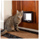 Eine getigerte Katze sitzt neben einer SureFlap Katzenklappe, die in eine Holztür eingebaut ist, mit einer dekorativen Matte darunter.