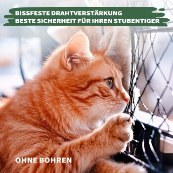 Nahaufnahme einer orangefarbenen Tabby-Katze, die neugierig auf ein Sicherheitsnetz schaut, mit überlagertem Text über sichere, bohrfreie Schutzmaßnahmen für Haustiere.