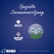 Blauer Hintergrund mit dem Text "Spezielle Zusammensetzung", Icons für L-Carnitin und Taigawurzel-Extrakt, plus Grafik von Kapseln und Pulver.
