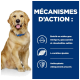 Golden retriever devant un fond bleu énumérant les avantages : Omega-3, glucosamine, chondroïtine, L-carnitine et antioxydants.