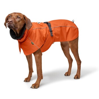 Ein Hund trägt einen leuchtend orangefarbenen Regenmantel mit einem schwarzen Kragen und steht vor einem weißen Hintergrund.