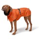 Ein Hund trägt einen leuchtend orangefarbenen Regenmantel mit einem schwarzen Kragen und steht vor einem weißen Hintergrund.