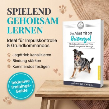 Eine Person trainiert einen Hund mit einer Leine in einem grasbewachsenen Bereich, neben einem eBook mit dem Titel 'Die Arbeit mit der Reizangel', das Trainingstipps enthält.