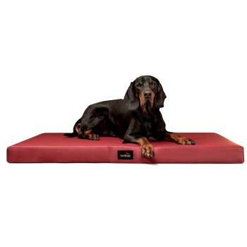 Ein schwarz-brauner Hund, der auf einem roten Hundebett mit einem tierlando-Logo an der Seite liegt.