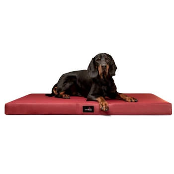 Ein schwarz-brauner Hund, der auf einem roten Hundebett mit einem tierlando-Logo an der Seite liegt.