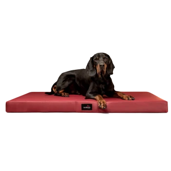 Ein schwarz-brauner Hund, der auf einem roten Hundebett mit einem tierlando-Logo an der Seite liegt.