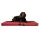 Ein schwarz-brauner Hund, der auf einem roten Hundebett mit einem tierlando-Logo an der Seite liegt.