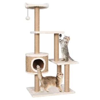 Zwei verspielte Katzen auf einem mehrstöckigen Katzenbaum mit Kratzpfosten, einem gemütlichen Versteck und einem baumelnden Spielzeugball.