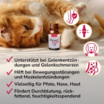 Orange-weiße Katze liegt neben einer Murmelwunder-Ölflasche mit deutschem Text über Gelenk- und Muskelunterstützung für Haustiere.