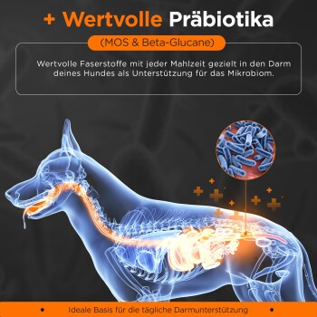 German Shephy Hundefutter Truthahn 10 kg