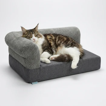 Drei Lucky-Kitty Katzenfutterdosen mit den Aufschriften 'GEFLÜGEL I', '3x5 DOSEN' und '95% Fleischanteil' sowie rohen Geflügelstücken.