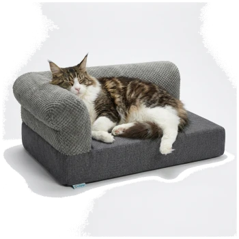 Drei Lucky-Kitty Katzenfutterdosen mit den Aufschriften 'GEFLÜGEL I', '3x5 DOSEN' und '95% Fleischanteil' sowie rohen Geflügelstücken.