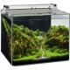 Un aquarium en verre magnifiquement aquascapé avec des plantes vertes luxuriantes, un terrain rocheux et un petit ruisseau, montrant un paysage sous-marin vibrant.